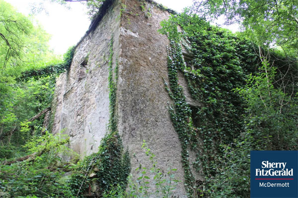 Derelict Mill For Sale: Allen's Mill, Inistioge, Co. Kilkenny