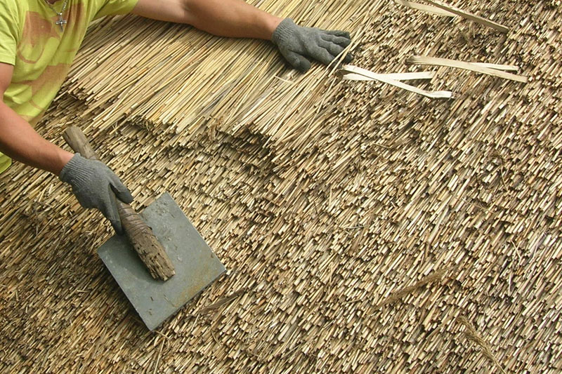Thatching FAQs